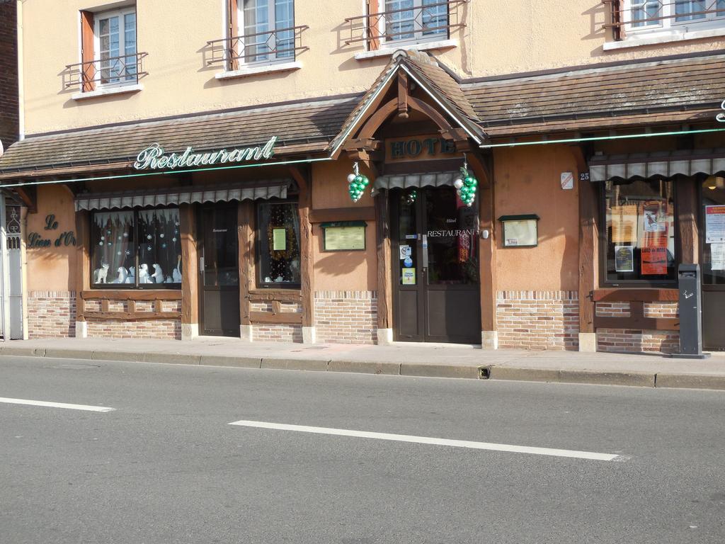 Hotel Le Lion D'Or Salbris Exterior foto